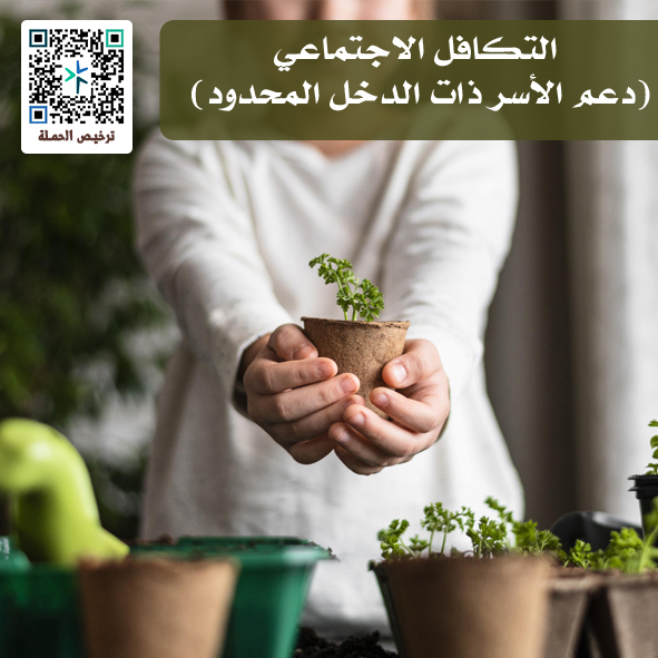 التكافل الاجتماعي (دعم الأسر ذات الدخل المحدود)