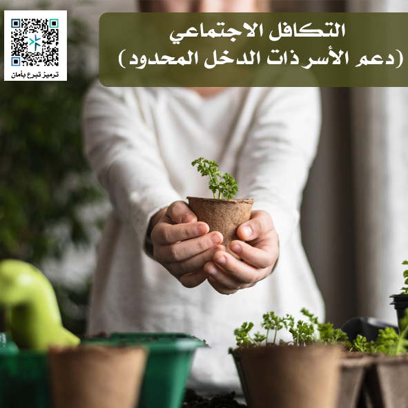 التكافل الاجتماعي (دعم الأسر ذات الدخل المحدود)