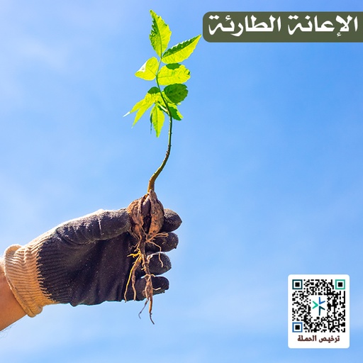 الإعانة الطارئة