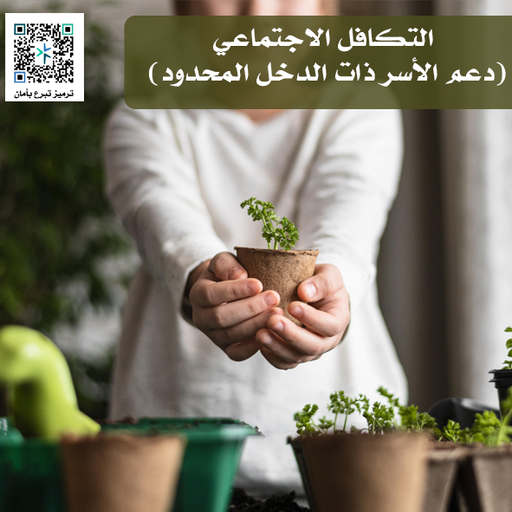 التكافل الاجتماعي (دعم الأسر ذات الدخل المحدود)